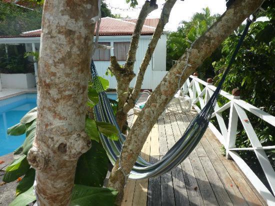El Momo Cottages Windward Side Eksteriør billede