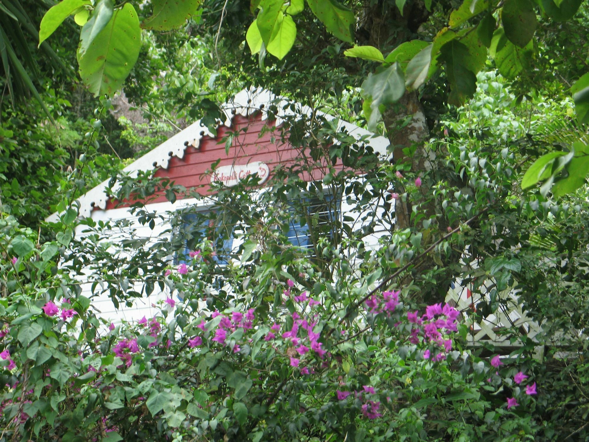 El Momo Cottages Windward Side Eksteriør billede